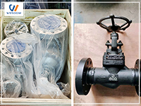 On the way to Israel gate valve