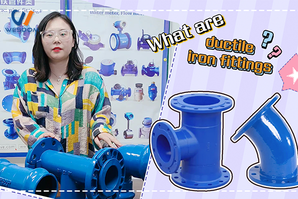 Do you want to know the materials and more information of WESDOM pipe fittings？