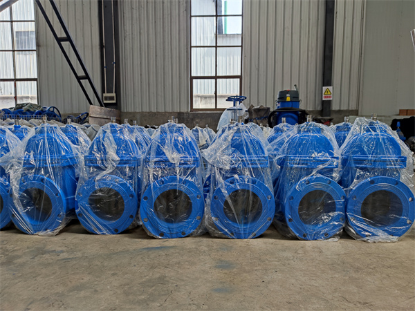 Our common gate valve, do you really understand it?