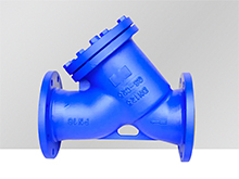 Flange Y-type strainer