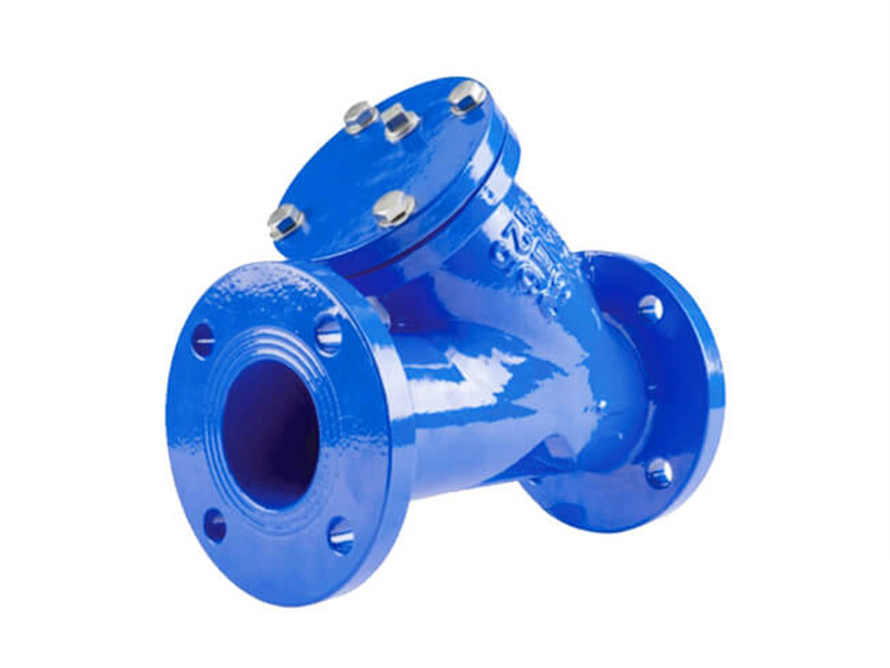 Flange Y-type strainer