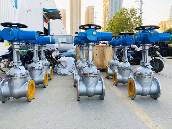 Structural characteristics of electric gate valve