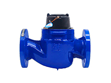 LXCLG(R) Vertical removable element woltman cold (hot) water meter