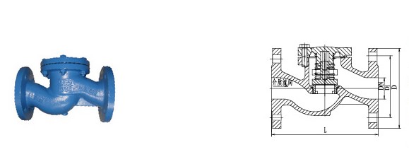 How to install and maintain Lift Check Valve?